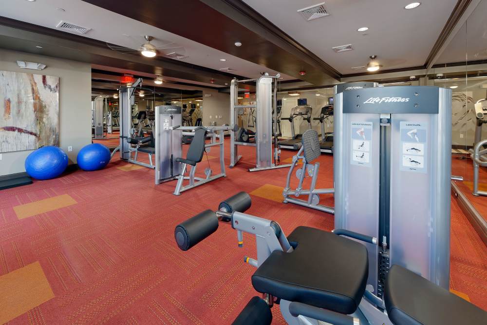 Large fitness center at 3350 at Alterra in Hyattsville, Maryland