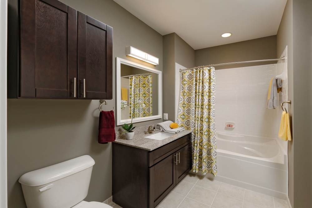 Master bathroom at 3350 at Alterra in Hyattsville, Maryland