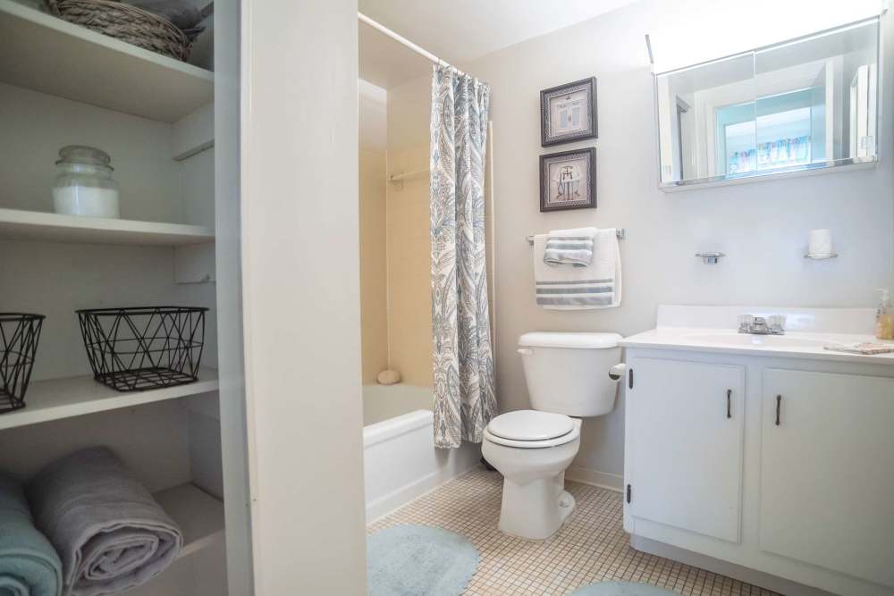 Master bathroom at Hunt Club Apartments in Cockeysville, Maryland