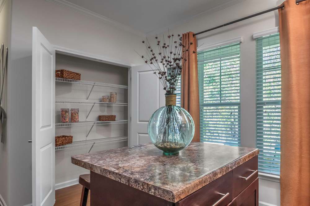 Spacious living areas at Durham Park in Pooler, Georgia