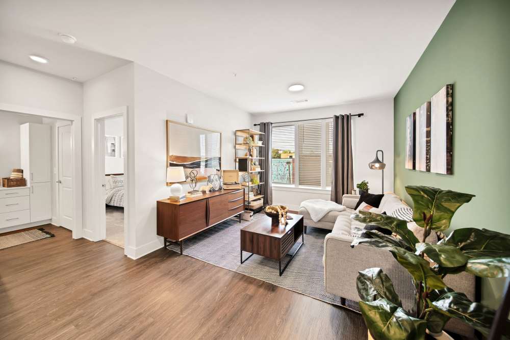 One bedroom Virtual Tour at The Ellis in Charlotte, North Carolina