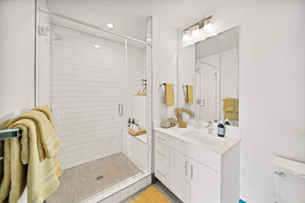 One bedroom Virtual Tour at The Ellis in Charlotte, North Carolina