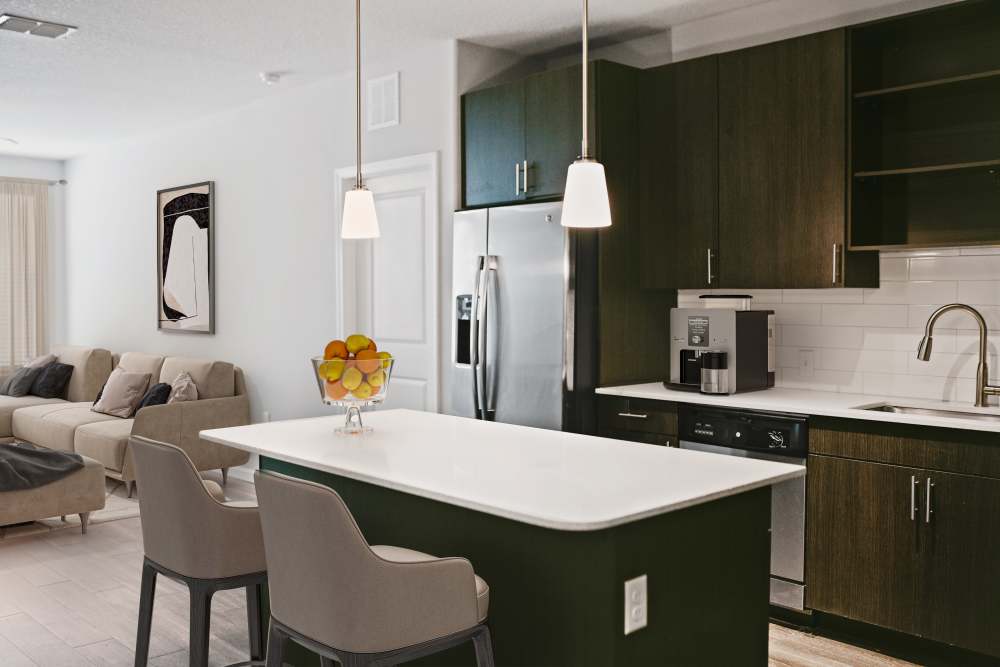 Modern kitchen at Audubon Park Apartments in Orlando, Florida
