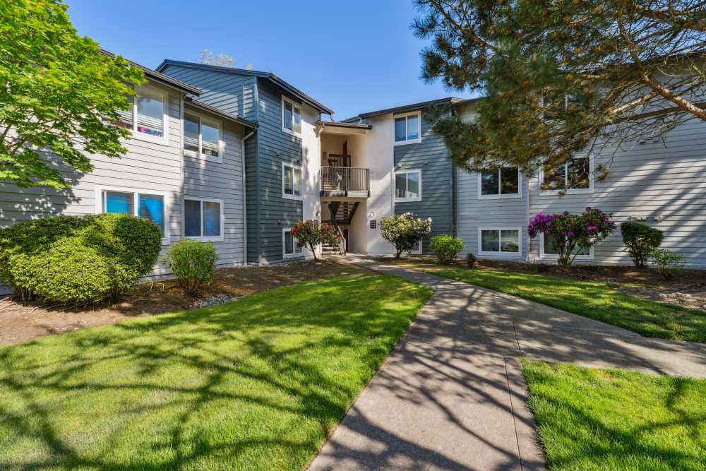 Well-maintained lawns and winding walkways outside resident buildings at Madison Sammamish Apartments in Sammamish, Washington