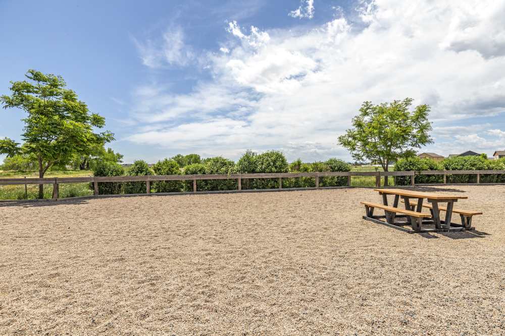 Outdoor dog park with picnic table at The Greens at Van de Water in Loveland, Colorado
