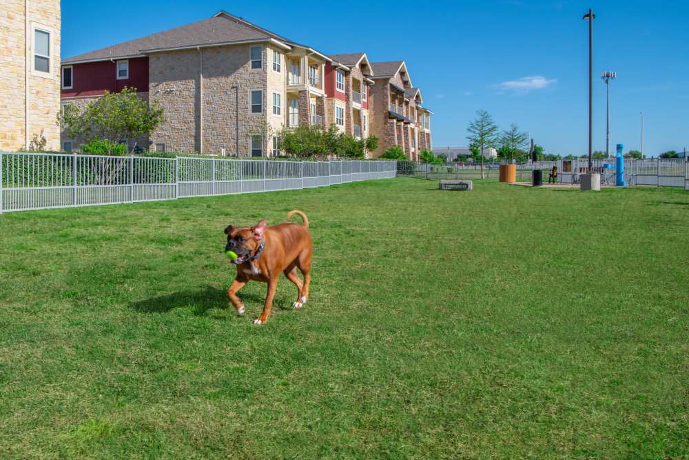 Dog Park at Estates of Richardson in Richardson, Texas