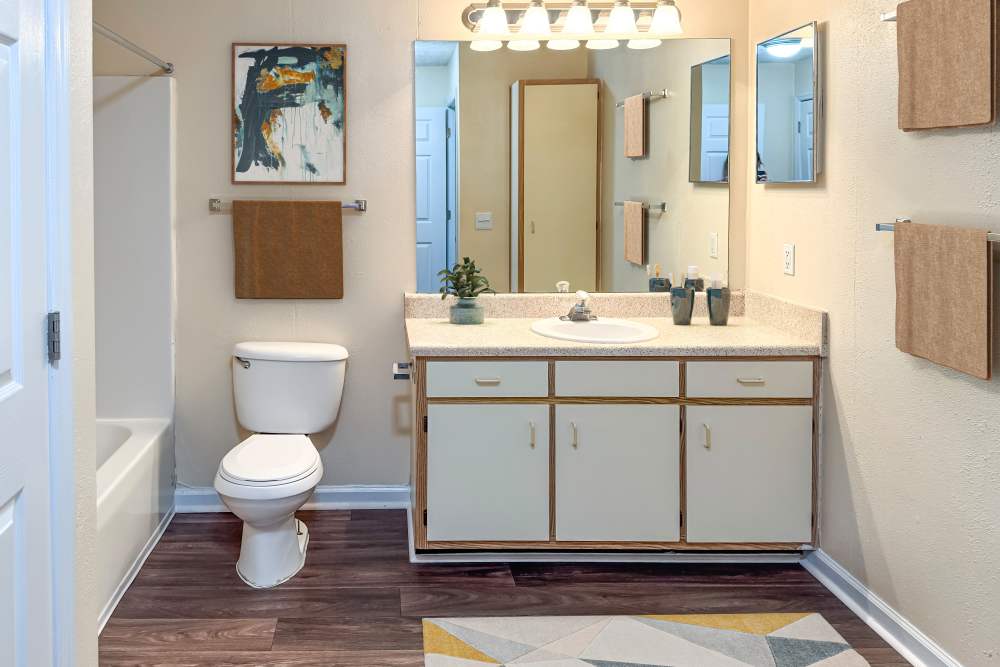 Clean bathrooms with vanity lights and cabinet at Greenleaf Apartments in Phenix City, Alabama