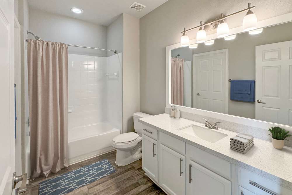interior view of apartment bathroom