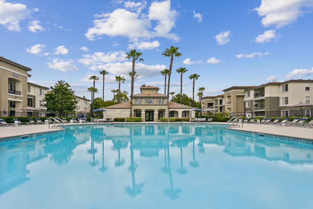 Large swimming pool ready for residents to enjoy at Avery at Moorpark in Moorpark, California