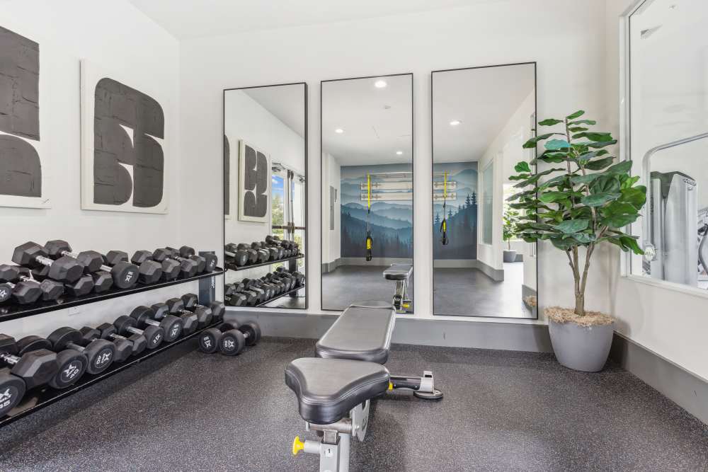 Resident fitness center with dumbells and other workout equipment at Avery at Moorpark in Moorpark, California