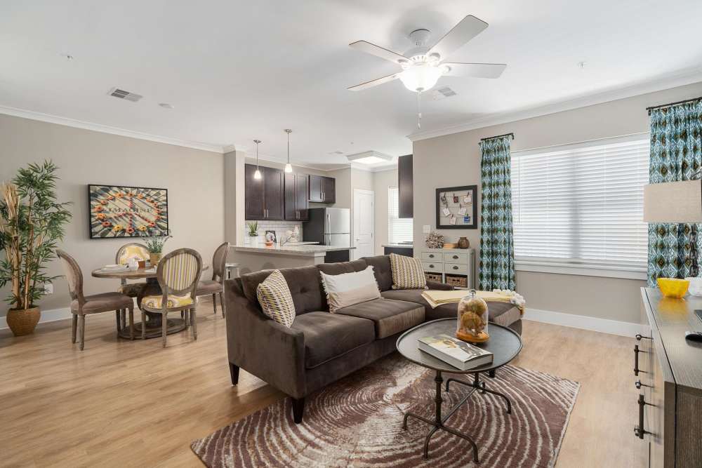 Large living room at East of Market in Frederick, Maryland