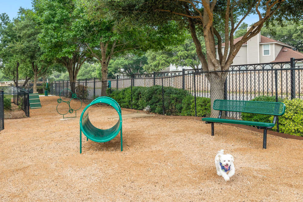 Dog park at The Lodge at Shavano Park in San Antonio, Texas