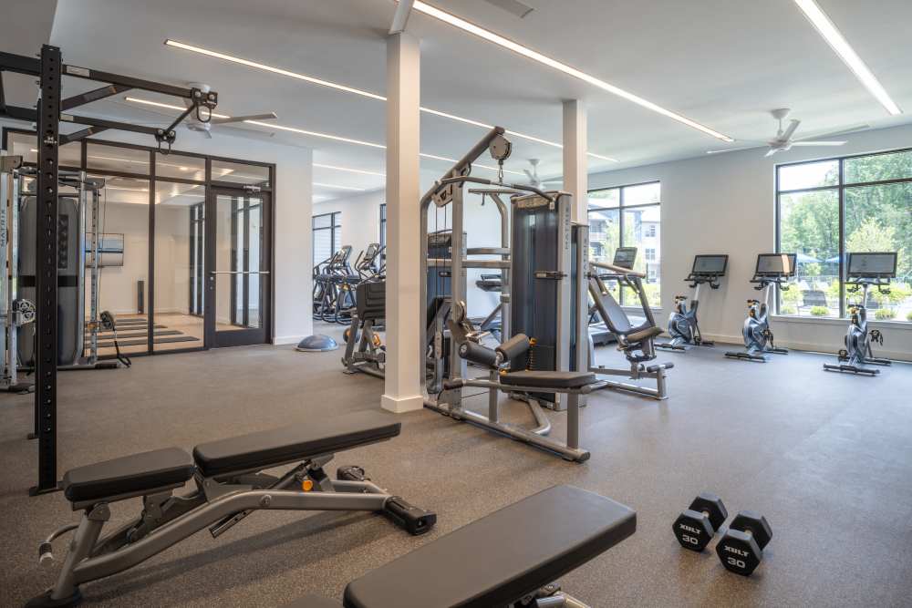 Resident fitness center with weight machines and free weights at Elms at the Refuge in Laurel, Maryland