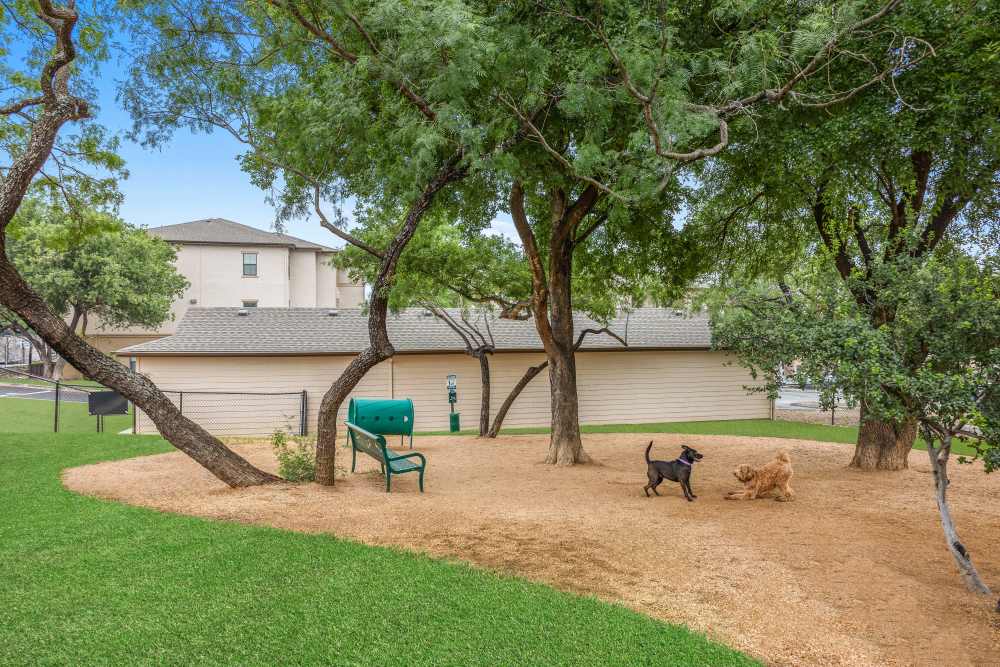 Dog park at Villas at Medical Center in San Antonio, Texas