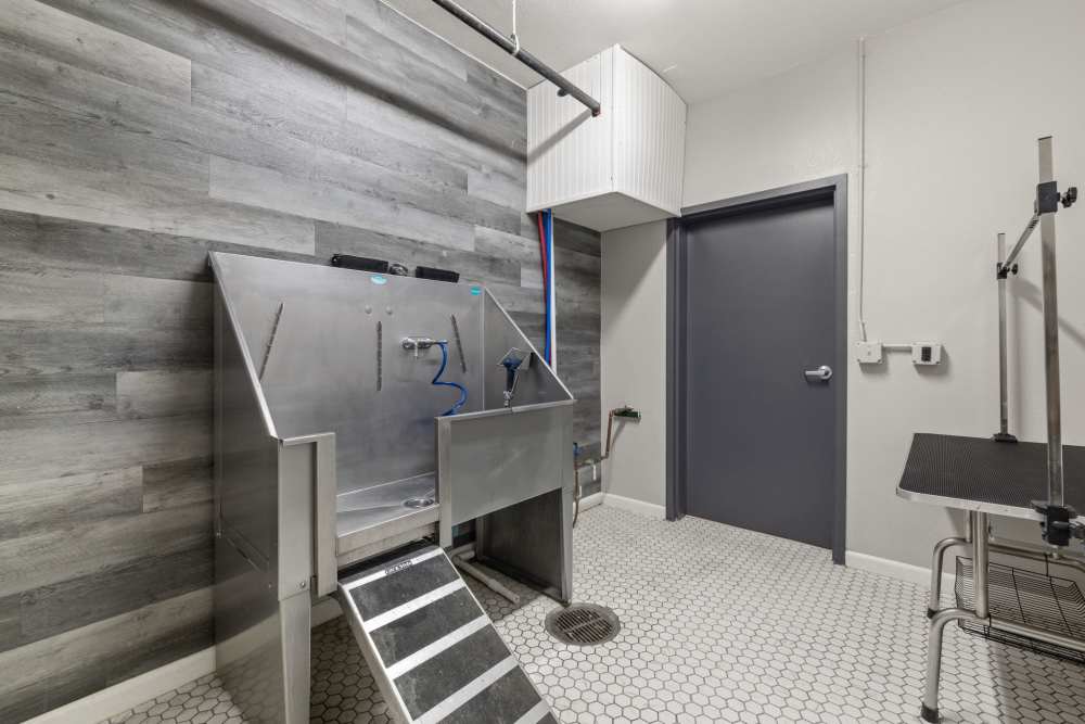 Shower area for the Pets in Caliber at Hyland Village in Westminster, Colorado