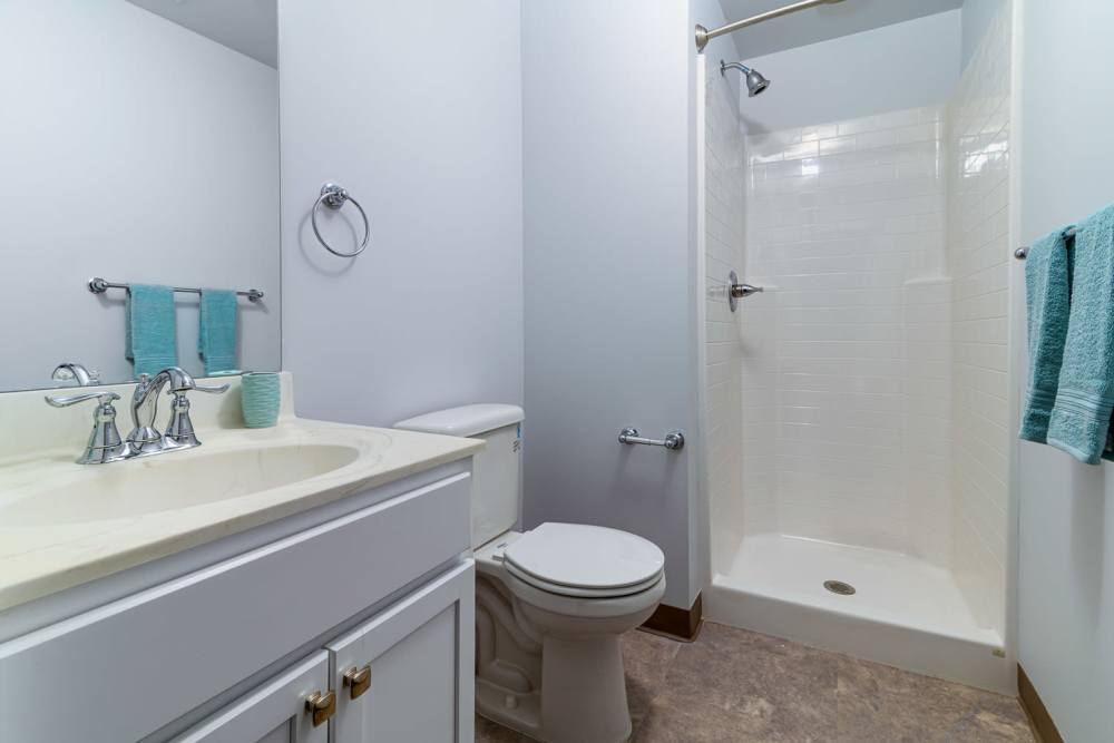 Bright bathroom with shower and tub at Marketplace in Flint, Michigan