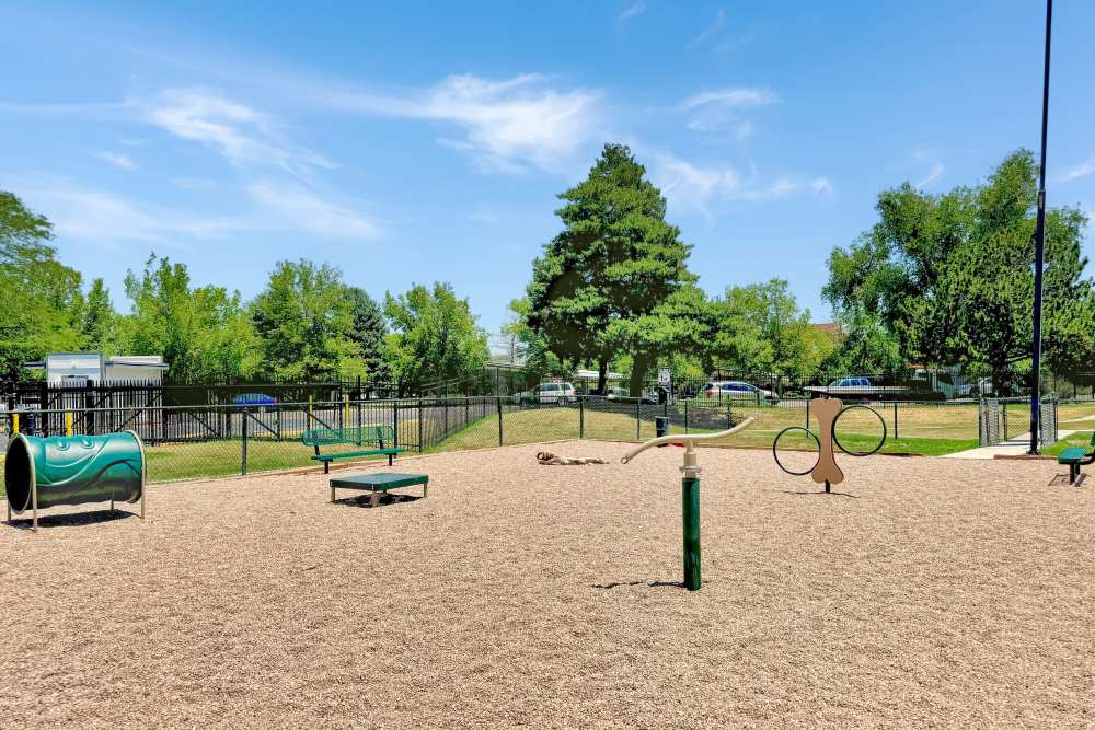 Have fun with your furry friend in the dog park at Ascent at Lowry in Denver, Colorado