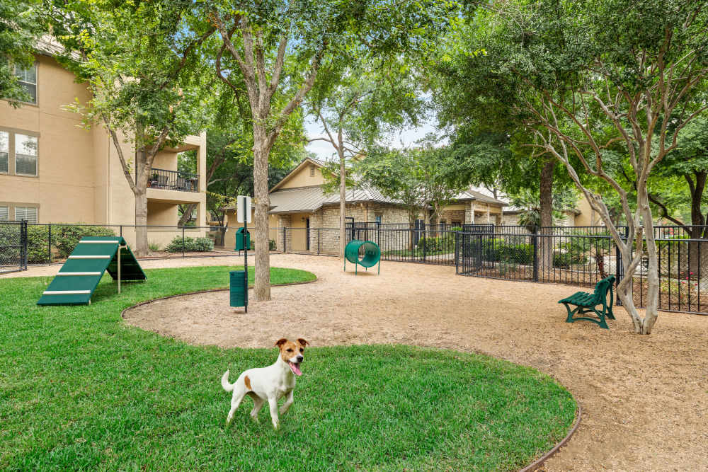 Dog park at Villas at Oakwell Farms in San Antonio, Texas
