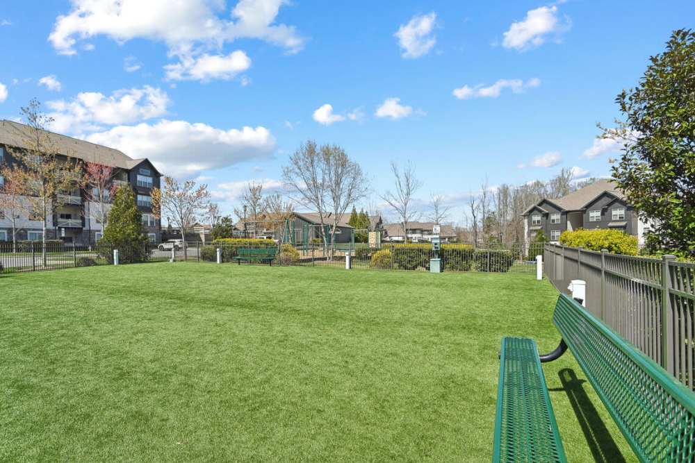 Large dog park at The Apartments at Brayden in Fort Mill, South Carolina