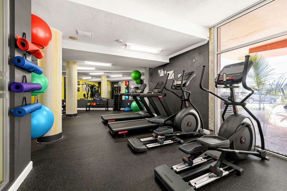 Community fitness center at Waters Pointe in South Pasadena, Florida