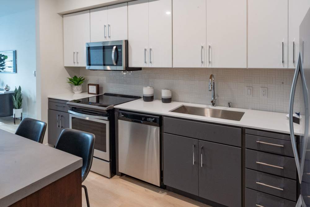 Kitchen with modern appliances at The Dylan