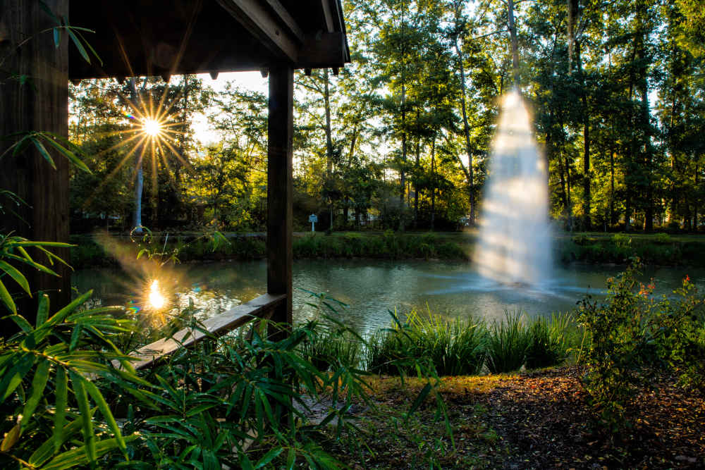 Lush grounds abound at The Grove at Oakbrook in Summerville, South Carolina