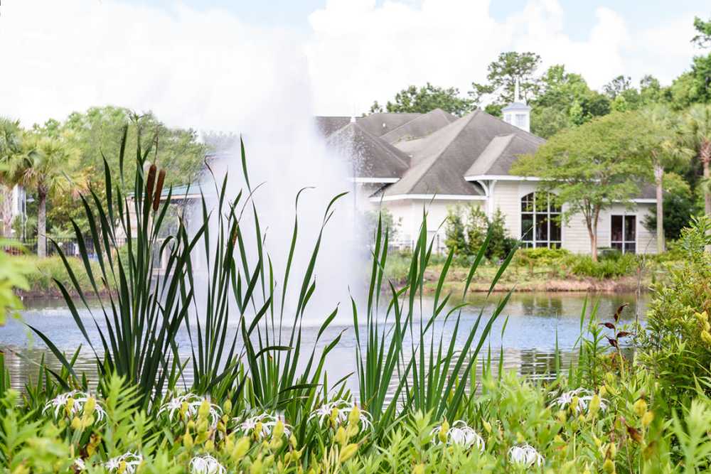Water fountain at Heron Reserve in Charleston, South Carolina