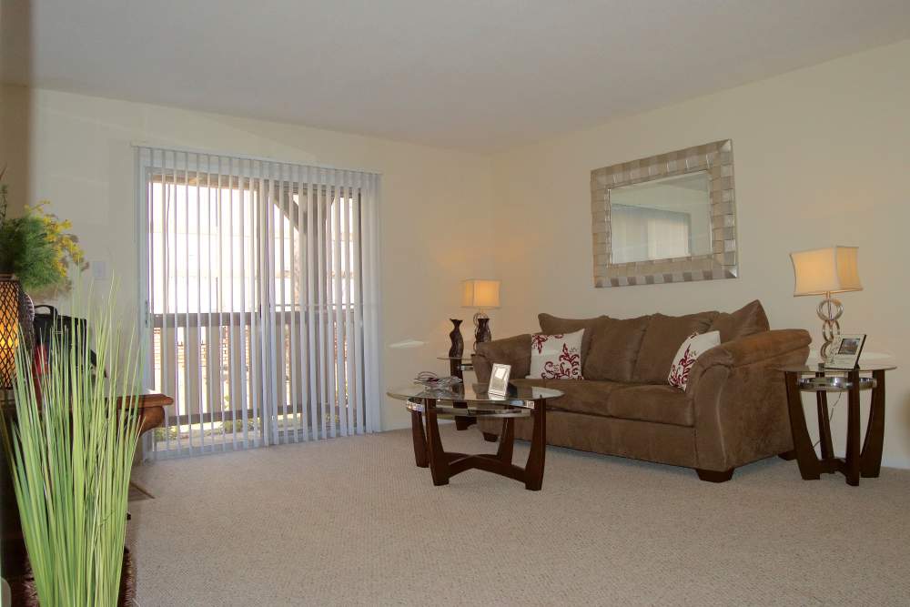 Living room at Cambridge Apartments in Athens, Georgia