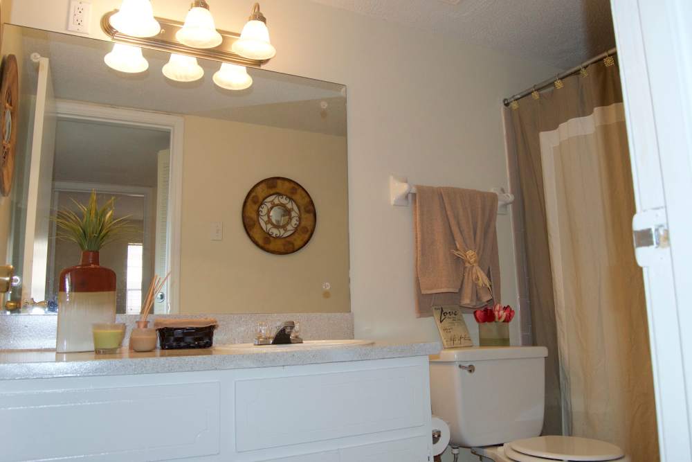 Luxurious bathroom at Cambridge Apartments in Athens, Georgia