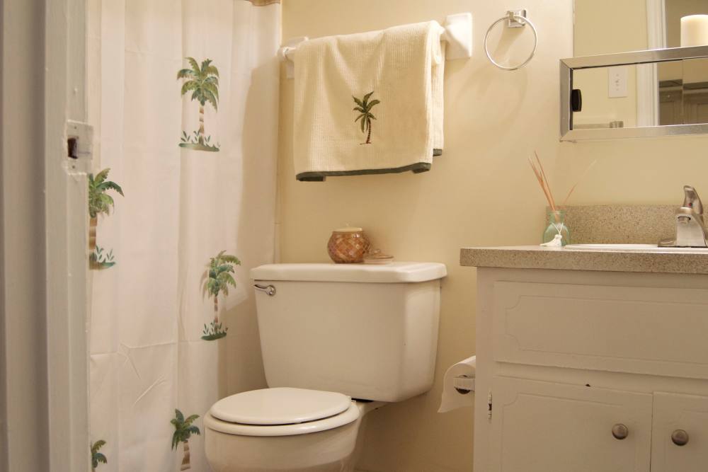 Bathroom at Cambridge Apartments in Athens, Georgia