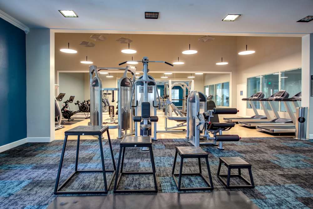 Cardio and weight lifting equipment in the gym at Waterstone Media Center in Burbank, California