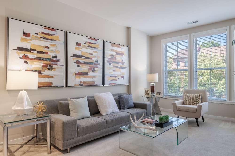 Well decorated living room at The Tala at Washington Hill in Baltimore, Maryland