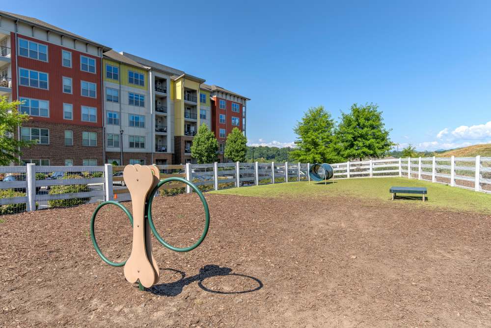 Dog park at The District in Asheville, North Carolina