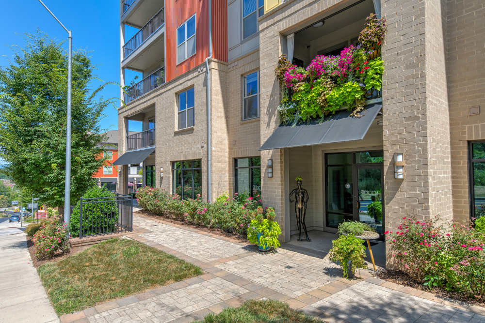 Lush plantings and flowers at The District in Asheville, North Carolina