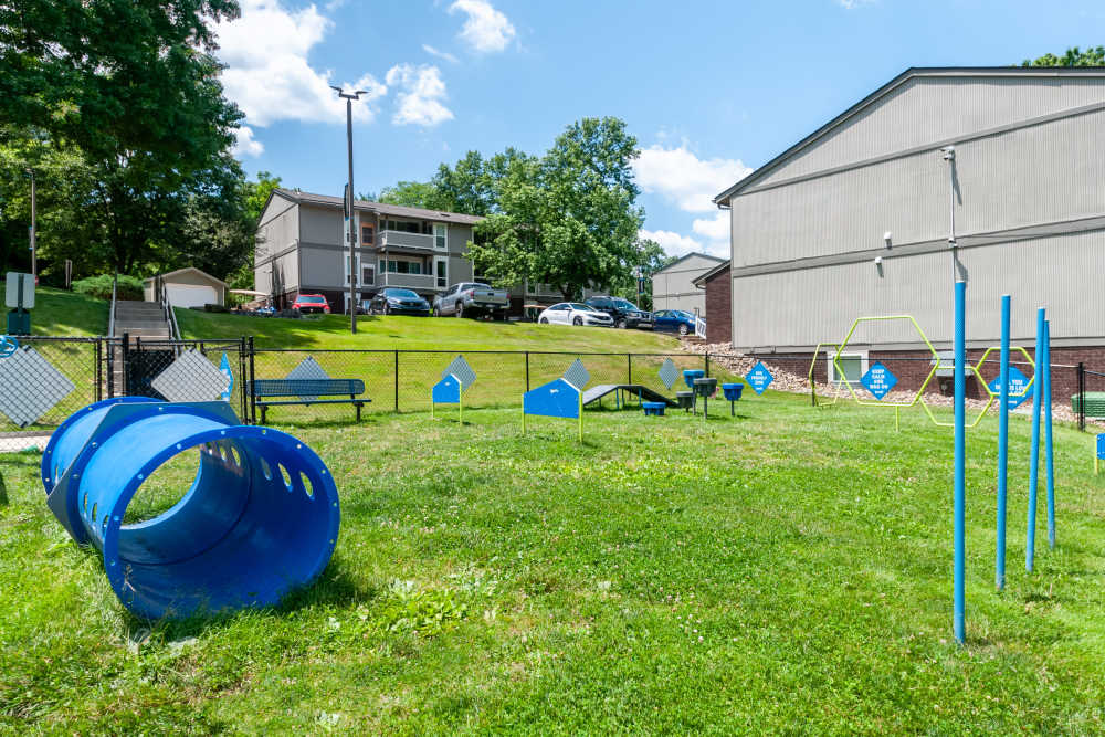 Fenced dog park at Nineteen North Apartments in Pittsburgh, Pennsylvania