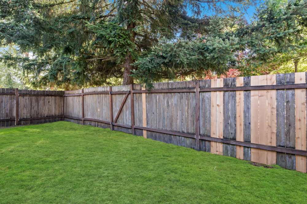 Fenced in backyard