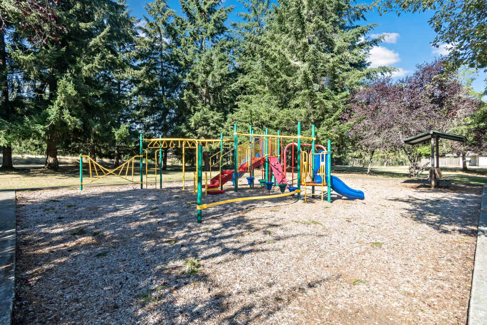 Community Playground