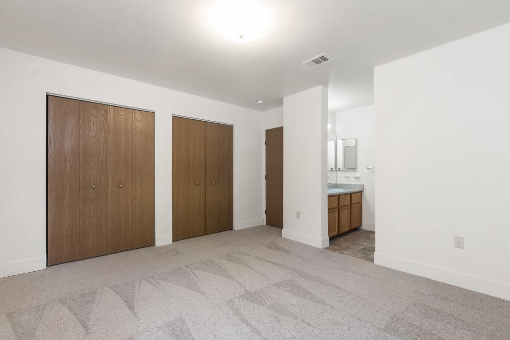 Primary bedroom with ample closet storage and carpet