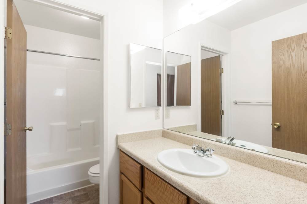 Bathroom with large vanity with separate shower and toilet