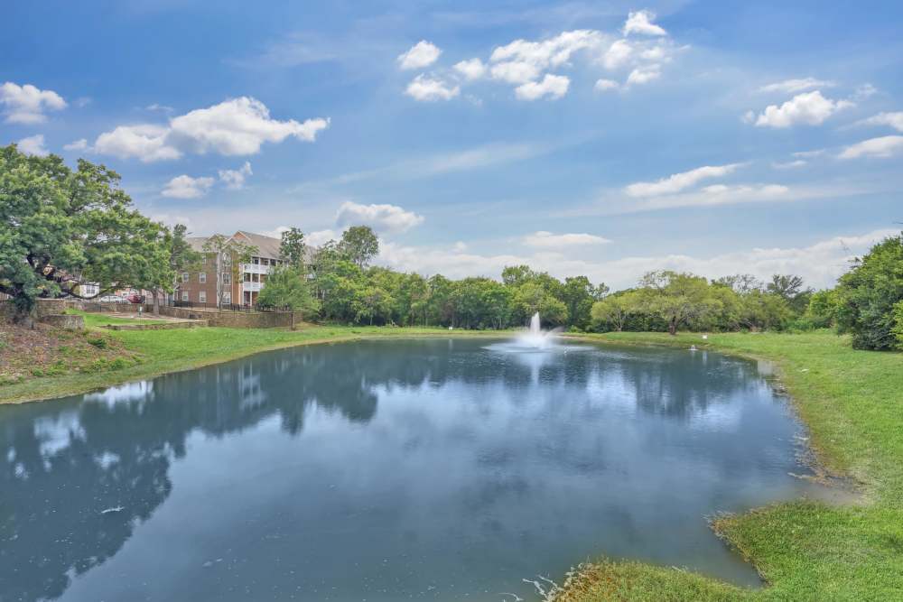 Beautiful view of lake, surrounding green grass and trees right outside apartments at Flatiron District at Austin Ranch in The Colony, Texas