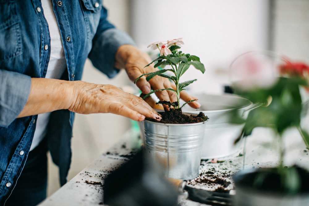 Resident potting a plant in our potting center at Hayloft Big Creek in Alpharetta, Georgia