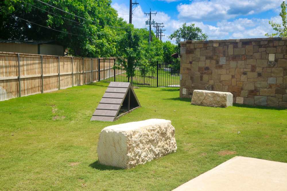 dog park  at MELA in San Antonio, Texas