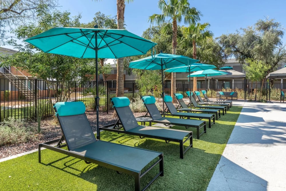 Lounge area at pool of Collins Off Colter in Phoenix, Arizona