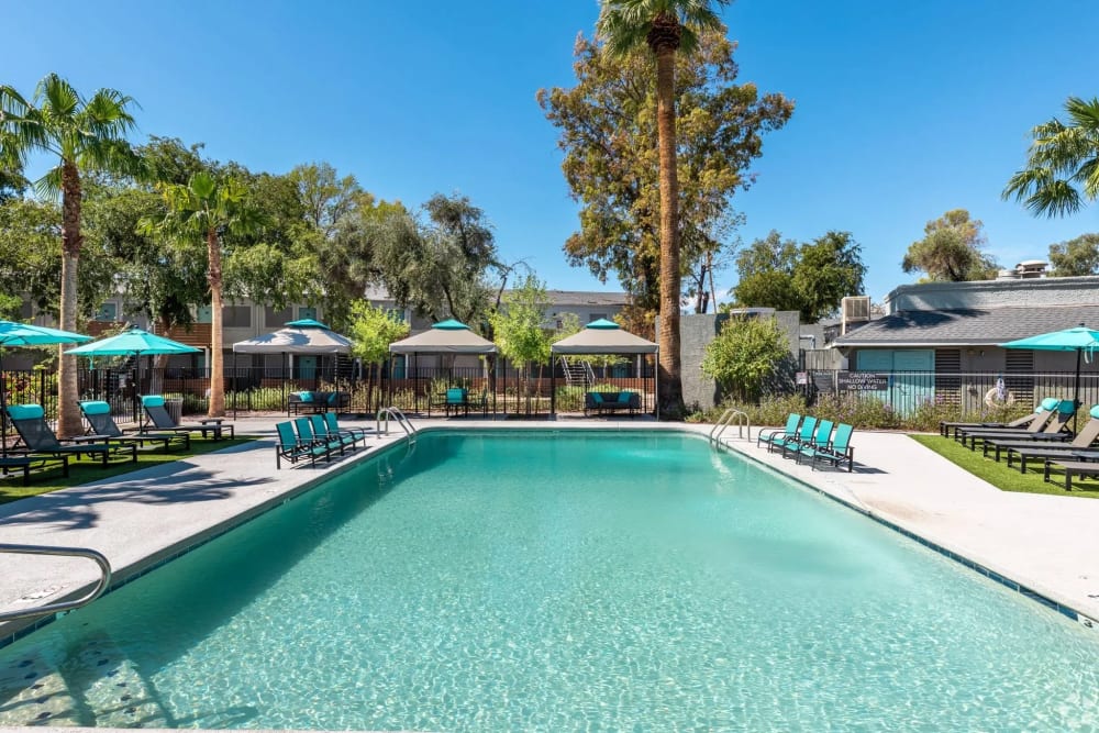 Community pool at Collins Off Colter in Phoenix, Arizona