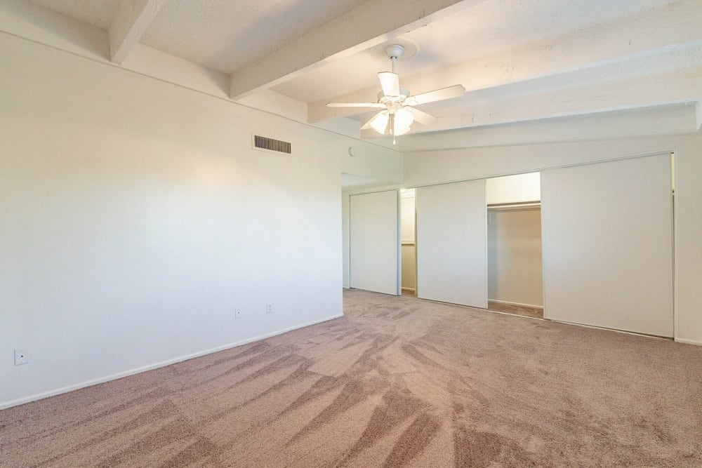 Carpeted living space at Collins Off Colter in Phoenix, Arizona