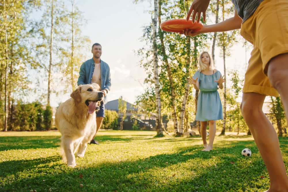 A family playing with their dog at Columbine Apartments in Littleton, Colorado