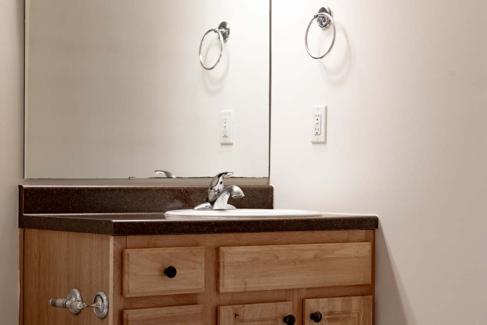 Bright bathroom with large mirror and lots of storage space at Forest Ridge in Bloomington, Indiana, 