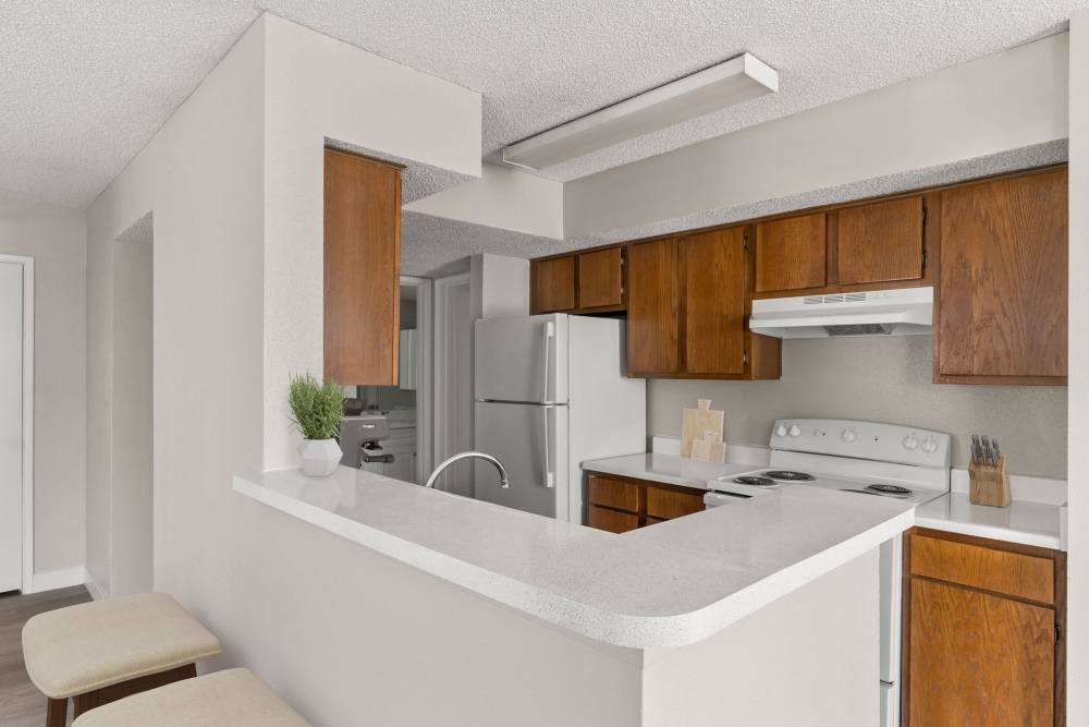 Kitchen area with countertop at Cielo on Gilbert in Mesa, Arizona