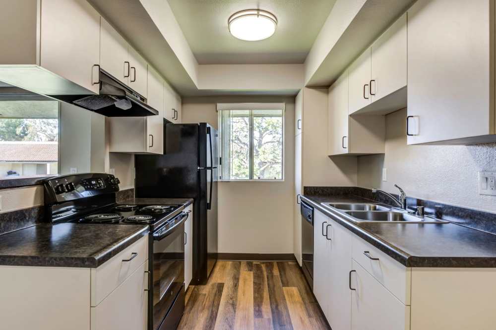 Stainless steel appliance with dishwasher at Sofi Ventura in Ventura, California