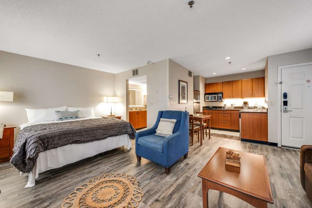Open concept living room connecting to kitchen at Vivo Living Charlotte in Charlotte, North Carolina, 